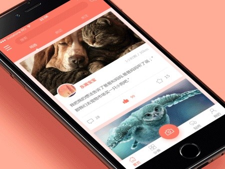 宠物医院App开发的价值和相关功能-北京KY.COM